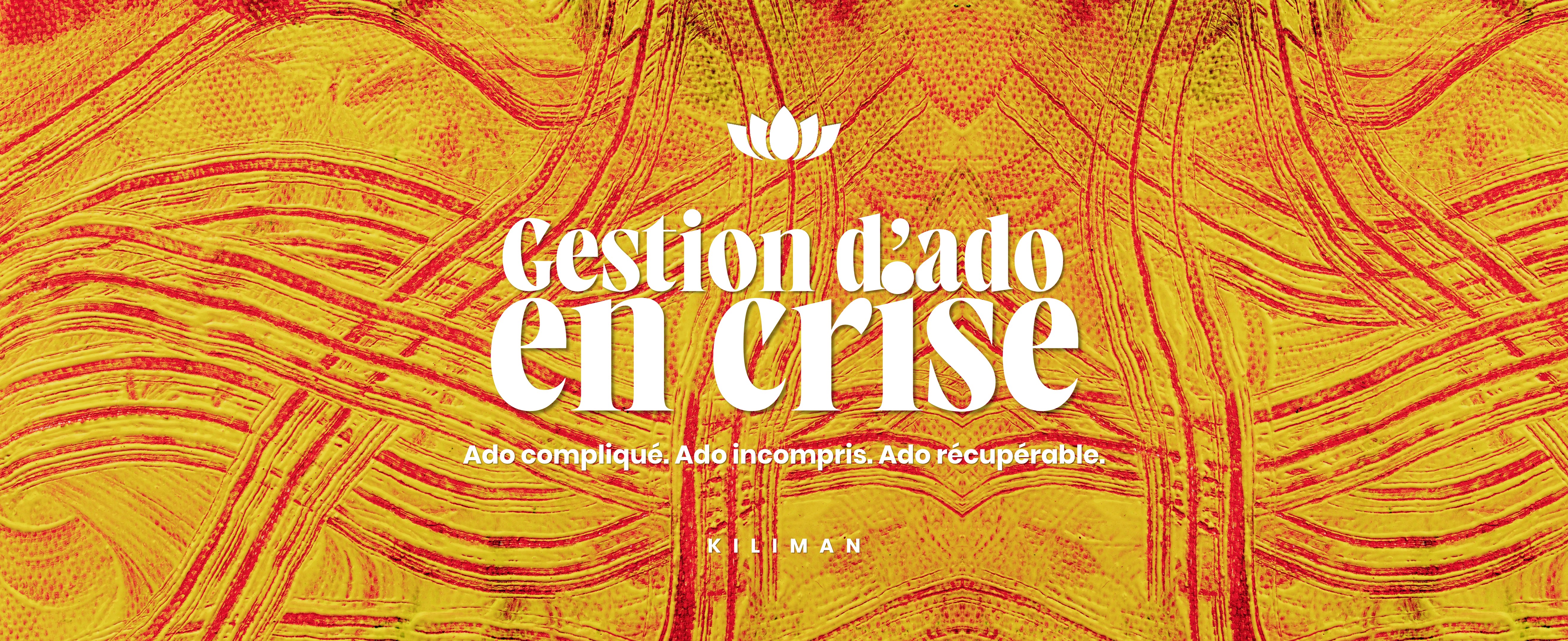 Gestion d'Ado en Crise